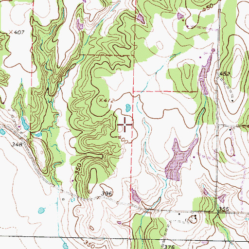 Topographic Map of Rhodes Ranch Airport, TX