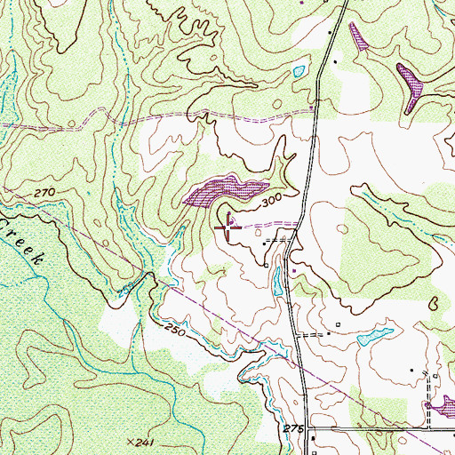 Topographic Map of Ashford Field, TX