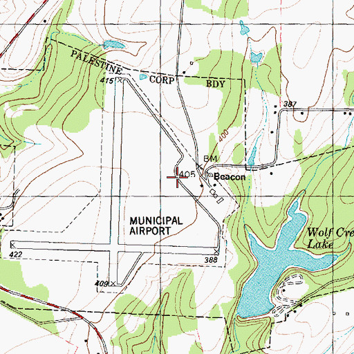 Topographic Map of Palestine Municipal Airport, TX