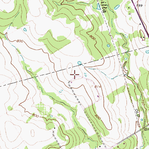 Topographic Map of Birdnest Airport, TX