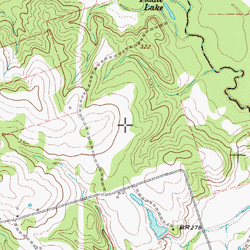Topographic Map of Polk Ranch Airport (historical), TX