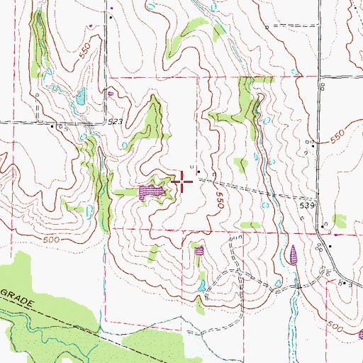 Topographic Map of Pecks Heliport, TX