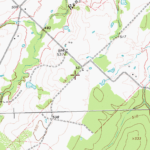 Topographic Map of Bishop Field, TX