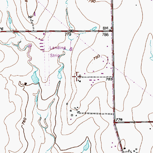 Topographic Map of Cowden Heliport, TX