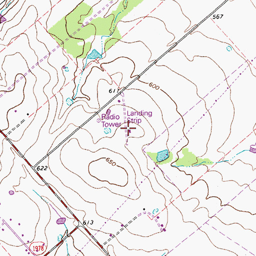 Topographic Map of Alison Air Park, TX