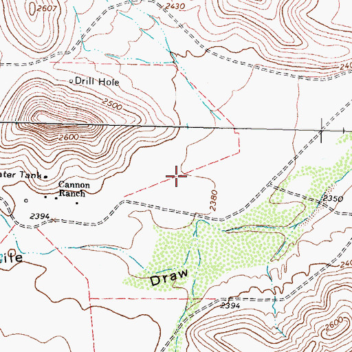 Topographic Map of Canon Ranch Airport, TX