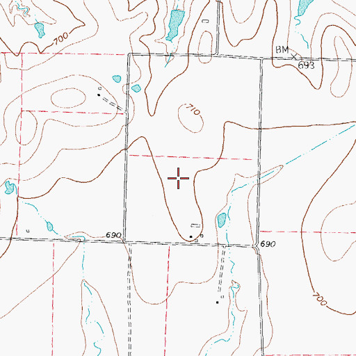 Topographic Map of Bridges Field, TX