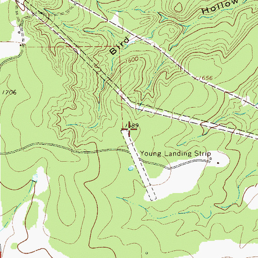 Topographic Map of H Young Ranch Airport, TX