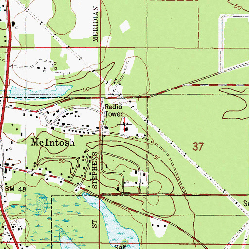 Topographic Map of McIntosh Academy, AL