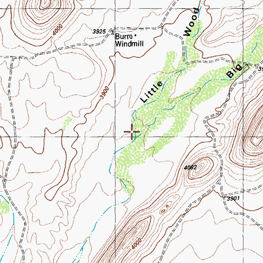 Topographic Map of Big Wood Hollow, TX