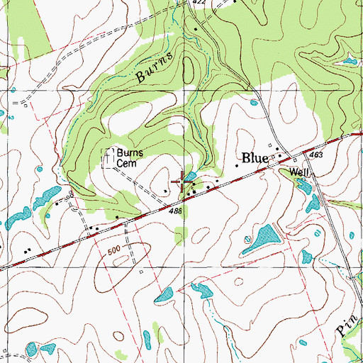 Topographic Map of Blue, TX