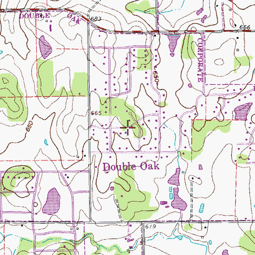 Topographic Map of Double Oak, TX