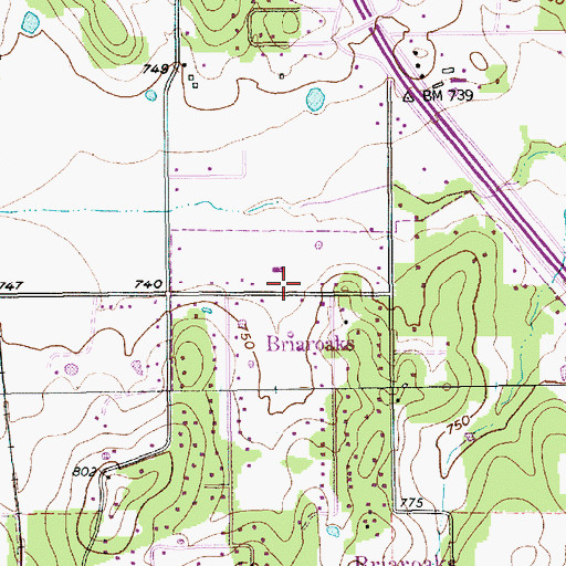 Topographic Map of Briaroaks, TX