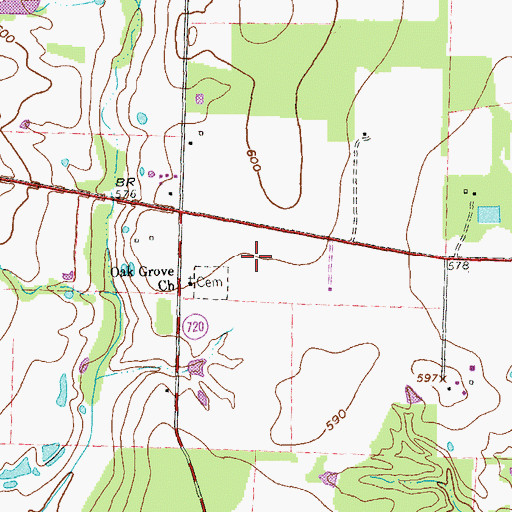 Topographic Map of Lincoln Park, TX