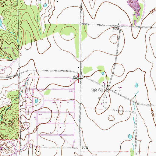 Topographic Map of Oak Point, TX