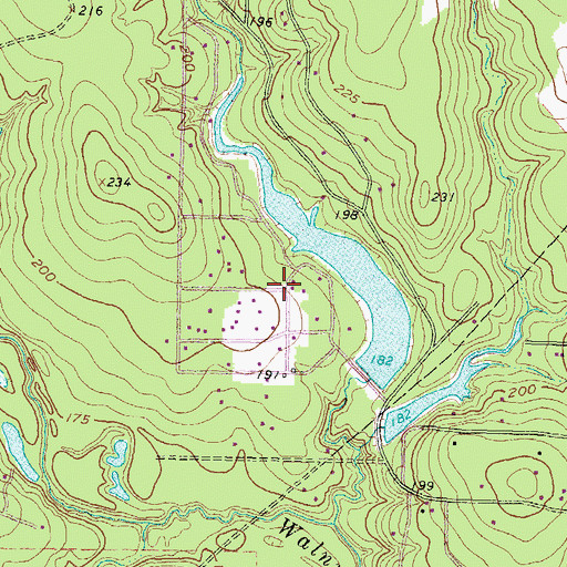 Topographic Map of Stagecoach, TX