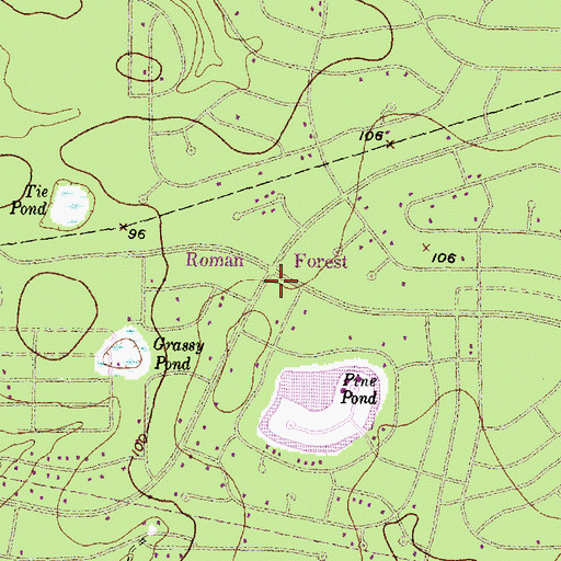 Topographic Map of Roman Forest, TX