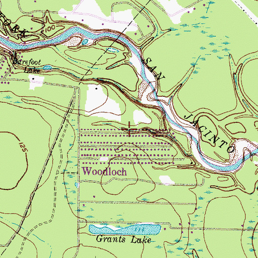 Topographic Map of Woodloch, TX