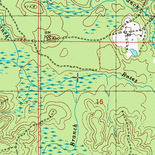 Topographic Map of Big Branch, AL