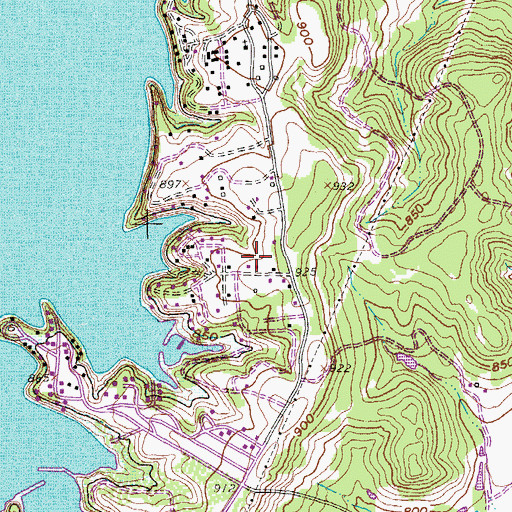Topographic Map of Lake Bridgeport, TX