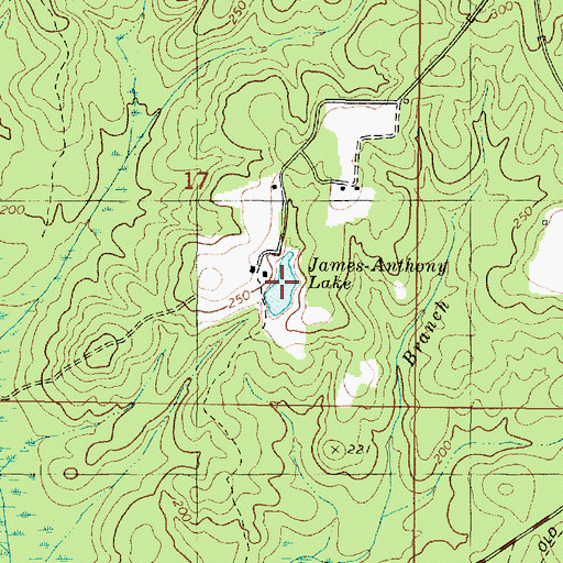 Topographic Map of James Anthony Lake, AL