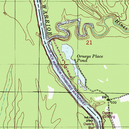 Topographic Map of Buckmans Island, AL