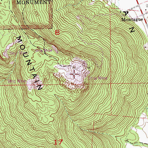 Topographic Map of Montague Mines, AL