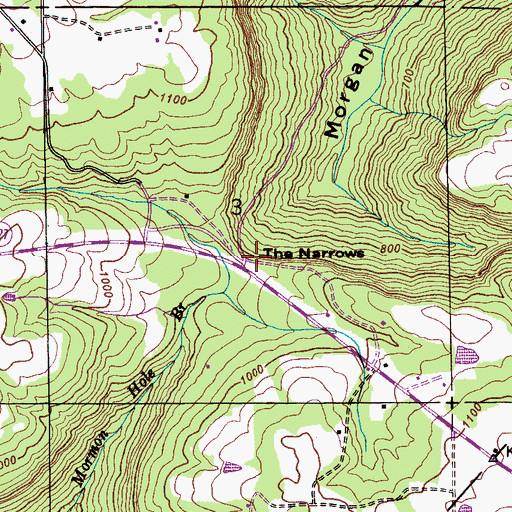 Topographic Map of Morgans Store (historical), AL