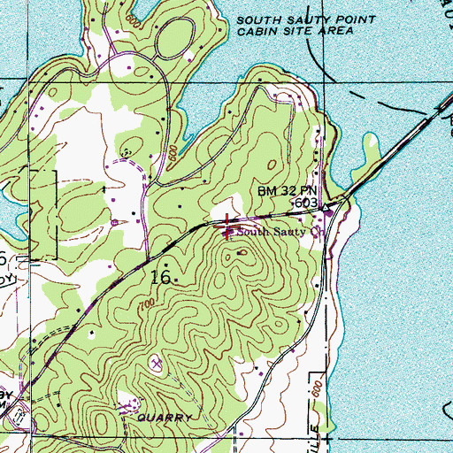 Topographic Map of South Sauty Church, AL