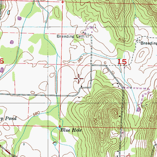 Topographic Map of Reed Cemetery, AL
