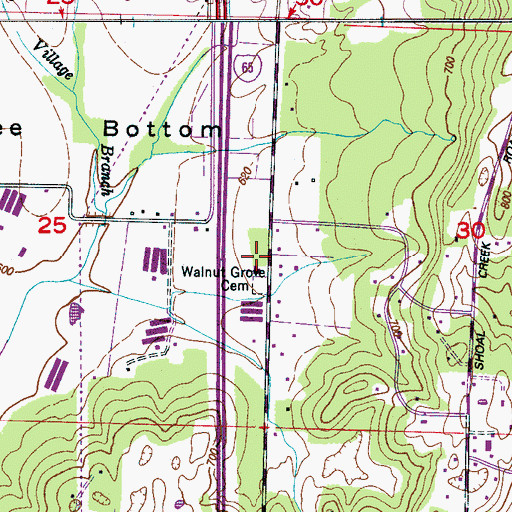 Topographic Map of Walnut Grove Baptist Church, AL