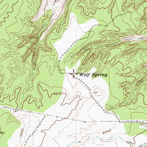 Topographic Map of Wolf Spring, AZ
