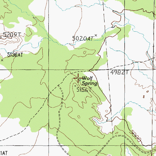 Topographic Map of Wolf Spring, AZ
