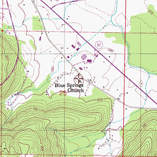Topographic Map of Blue Springs Cemetery, AL