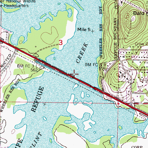 Topographic Map of Burleson Ferry (historical), AL