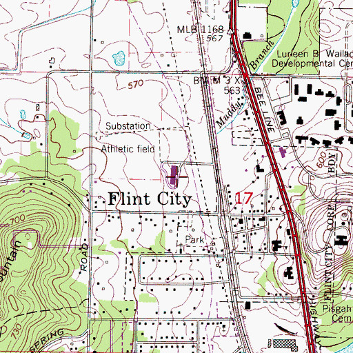Topographic Map of Flint Elementary School, AL