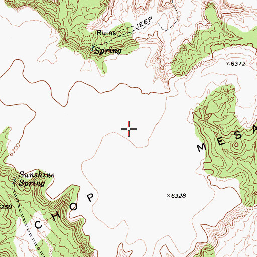 Topographic Map of Wood Chop Mesa, AZ