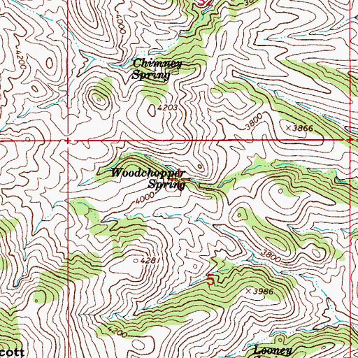 Topographic Map of Woodchopper Spring, AZ