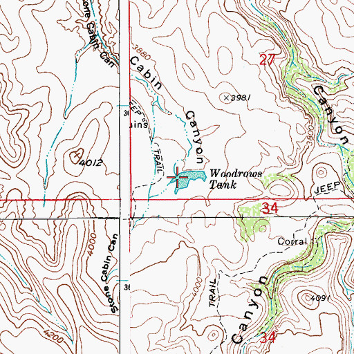 Topographic Map of Woodrows Tank, AZ
