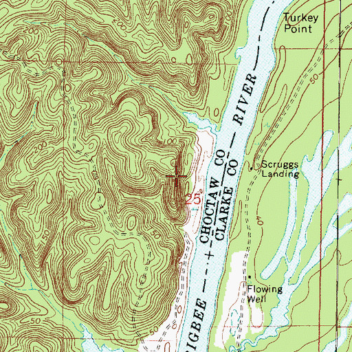 Topographic Map of Bucey Bluff, AL