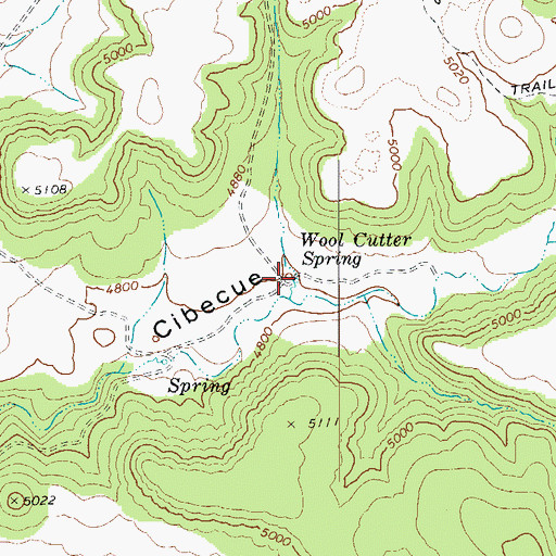 Topographic Map of Wool Cutter Spring, AZ