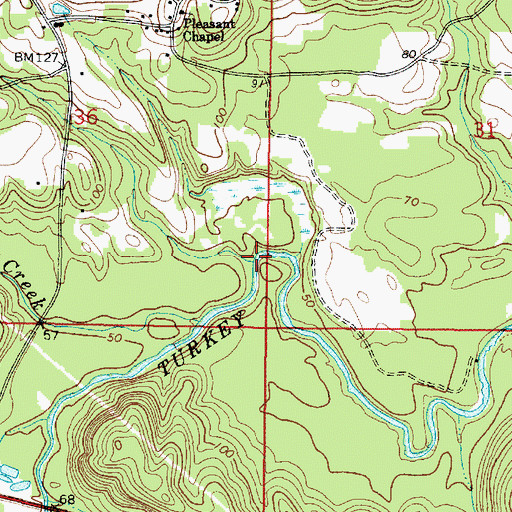 Topographic Map of McNish Branch, AL