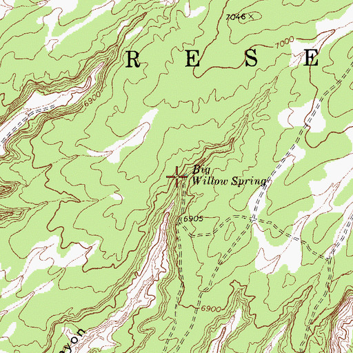 Topographic Map of Big Willow Spring, AZ