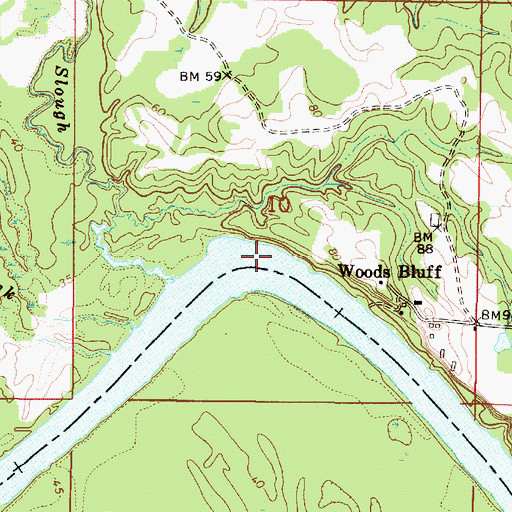 Topographic Map of Woods Bluff Shoal, AL