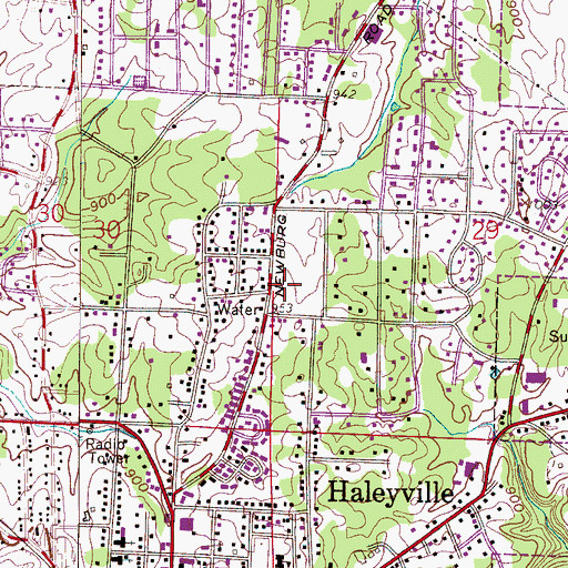 Topographic Map of Haleyville Church of Christ, AL