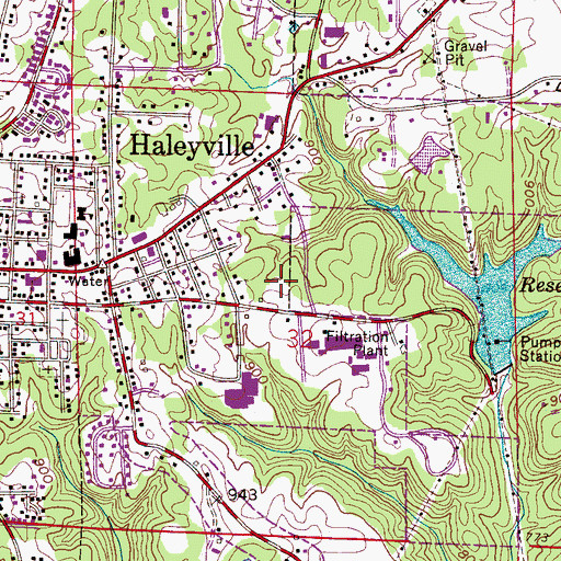 Topographic Map of Haleyville Middle School, AL
