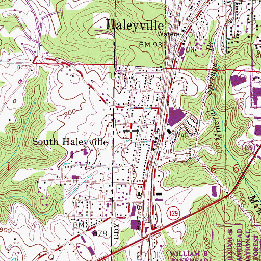 Topographic Map of South Haleyville Baptist Church, AL