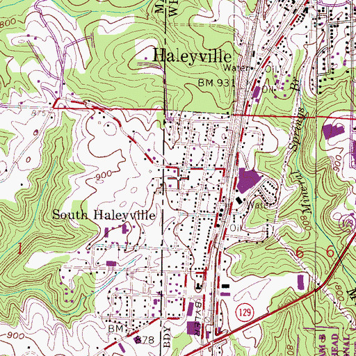 Topographic Map of South Haleyville Church of Christ, AL