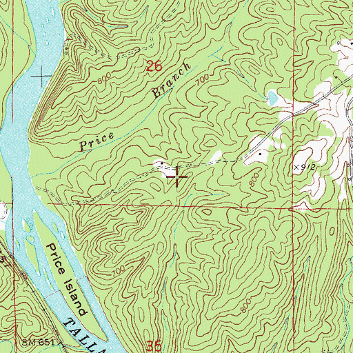 Topographic Map of Atchinalgi (historical), AL