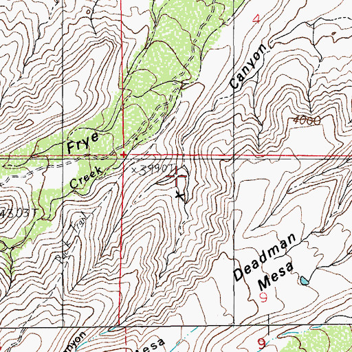 Topographic Map of X Canyon, AZ
